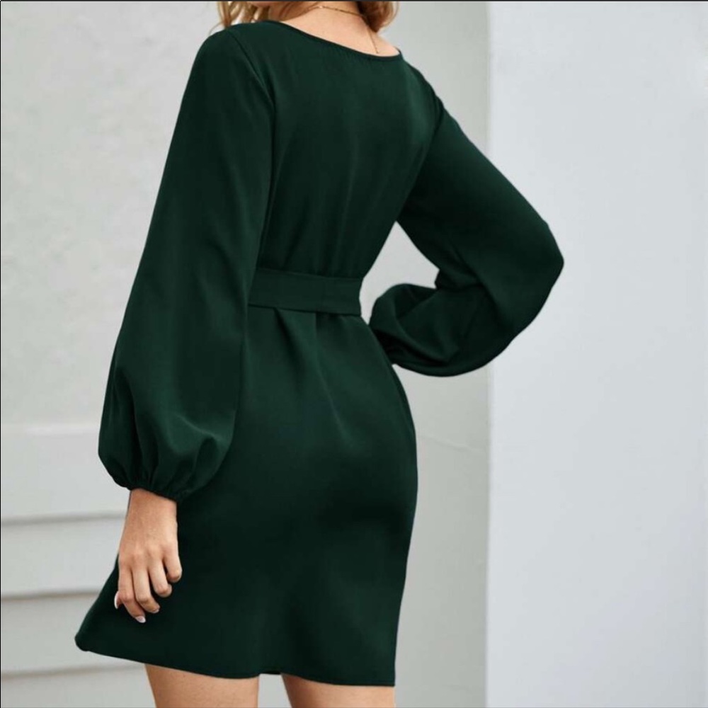 Blue long lantern sleeve  belted dress - Picture 14 of 16